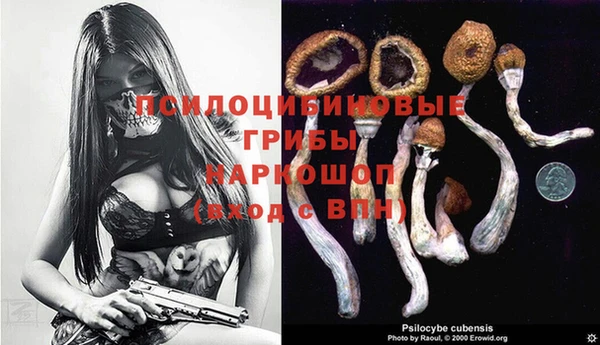 спиды Алексин