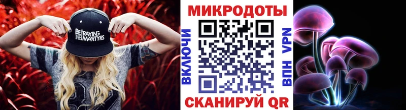 Галлюциногенные грибы Cubensis закладки Данков